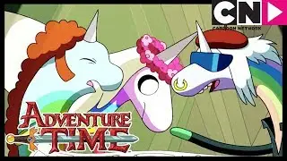 Время приключений | Леди Ливнерог и Кристальное Измерение | Cartoon Network