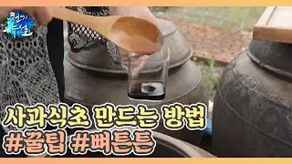 사과식초 만드는 방법 