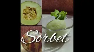 Four ingredient Muskmelon Sorbet || Easy and delicious sorbet recipe