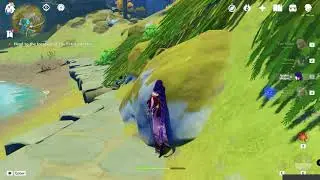 Genshin Impact Raiden Cant Cook and Cant Climb