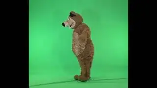 Медведь на зеленом фоне, футаж, хромакей