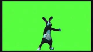 Hip-Hopping Bunny Project
