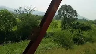 Beautiful Nature View from Train. #travelling