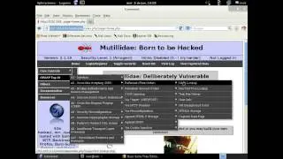 Bypass de validaciones del lado del cliente con BurpSuite