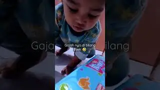 gambar gajah di pampers di bilang lagi eeek (buang air) 