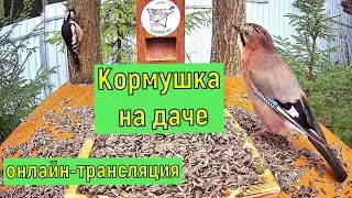 #онлайн