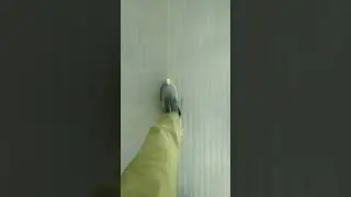 и двух недель не прошло...(для драйвер топ)