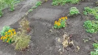 Купили дачу/все замерзло