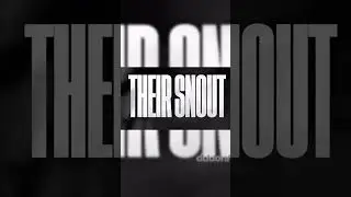 edit #аниме #edit #asaprocky #asap #editing #quickmoney #ontop