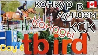 🇨🇦НЕДЕЛЯ ВЛОГОВ/День 6: конный спорт Канады