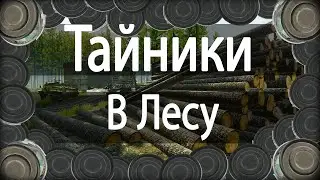 8 Тайников Лес | ГАЙД ПО ТАЙНИКАМ |  Escape from Tarkov