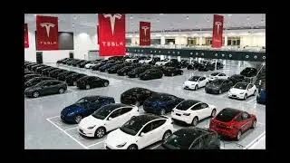 Plummeting electric car prices - Tesla takes the lead, dealers concerned