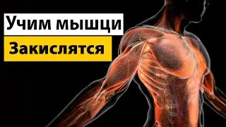 Тренировка на закисление мышц! Подготовка тела к трансформации