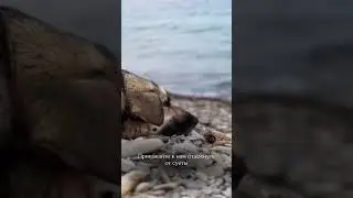 📍 кемпинг на Черном море , 9-й километр