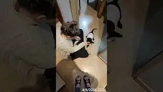 Bienvenida, Reina