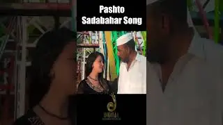 Nadana Che Wargad Shwe | Kishwar Sultan | Pashto Sadabahar Song