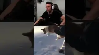 Dog thrown outta plane