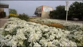 Приморско - Ахтарск - город у моря!