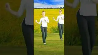 🌺HÁT VỀ CÂY LÚA HÔM NAY🌺 ( BIÊN ĐẠO MỚI NHẤT - CHO 20/10, 8/3 - ĐOẠN 1).