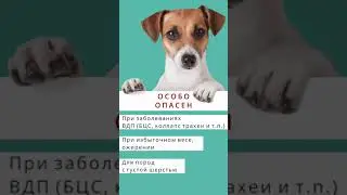 видео для instagram 2