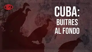 Cuba: buitres al fondo