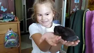 Настя + Кузя = любовь! HAMSTER.