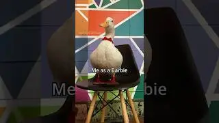 Does the Barbie Filter work on a Duck?