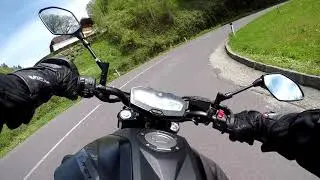 Driving MT07 im Waldviertel