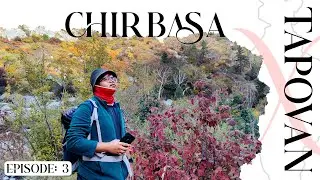 Gaumukh-Tapovan Trek | My Sole came off! | Chirbasa | Ep: 3 | Criss-Crossing India