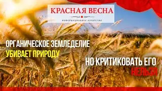 Даже ученым нельзя критиковать органическое земледелие  Объясняет эксперт
