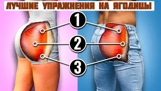 Мы протестировали 17 упражнений для ягодичных мышц, они лучше всего подходят для роста