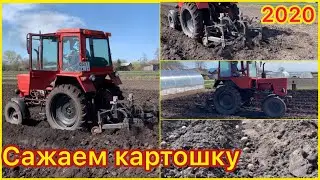 Сажаем картошку на Т-25 2020