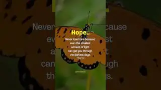 Hope | Motivation | Best Inspirational Quote | English Quotes #shorts  #motivation #inspiration