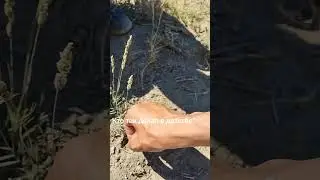 #ностальгия