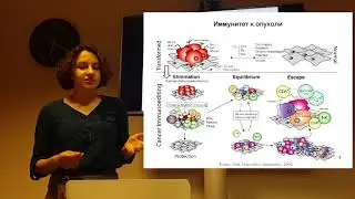 Современные методы лечения рака: антитела, Т-клетки, вирусы – Софья Касацкая