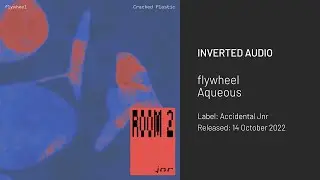 flywheel - Aqueous [Accidental Jnr]