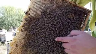 По заявкам трудящихся Украинская степная