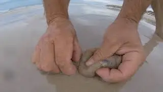 how to catch beach worms use full tips South Australia Part 2
