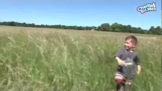 Long Grass Lions