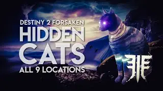 All 9 Hidden Cats / 