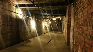 The Haunting Echoes of Seattle's Great Fire