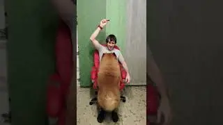 Персей, как смешная сосиска