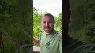 Hello from Panama!