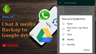 How to backup WhatsApp chats to Google drive on Android 2020 - TechOZO