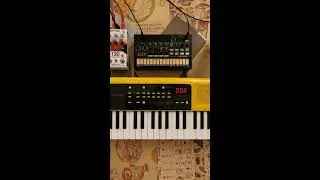 Blossom Bisquits Non stop  Jam Compilation