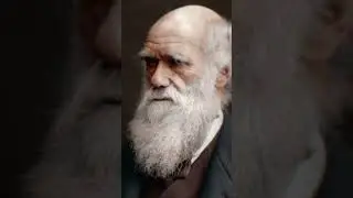 #история