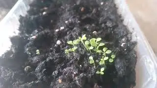Результаты посадок на 1 марта.