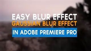 Easy Blur Effect | Adobe Premiere Pro  Tutorial  2021