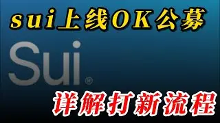 sui上线OKEX,KuCoin交易所公募能否获得10倍收益，闭坑详细打新流程，成本核算