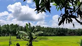 #shorts  view 🥀🌤️⛅🌥️